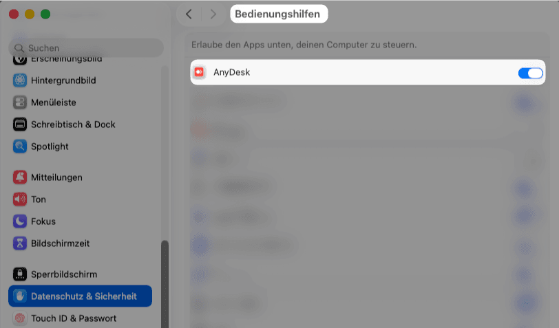 Bedienungshilfen → AnyDesk aktiv