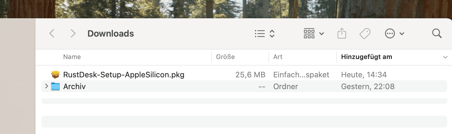 Datei im Downloads-Ordner nach dem Download