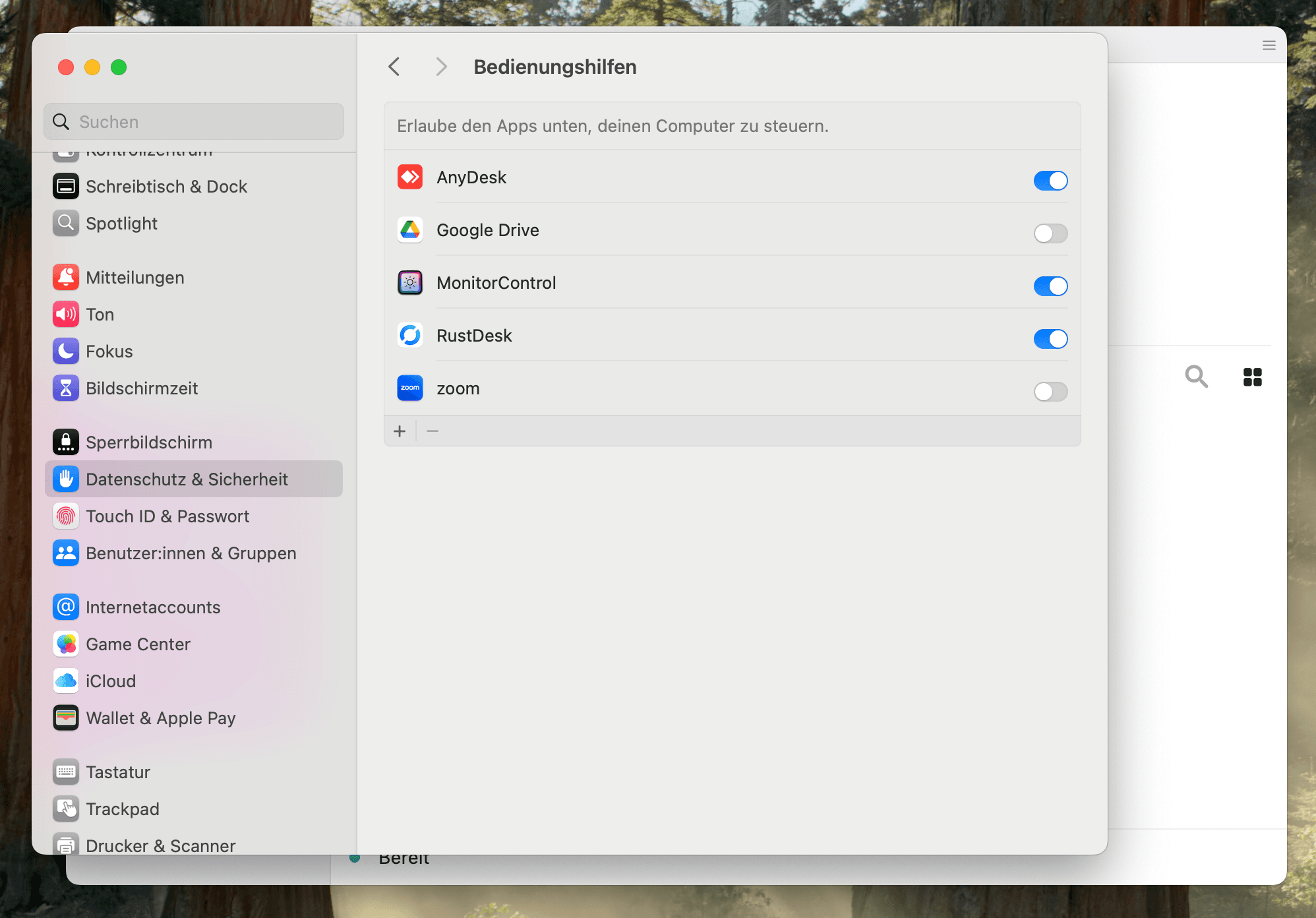 Systemeinstellungen → Bedienungshilfen → RustDesk aktiv