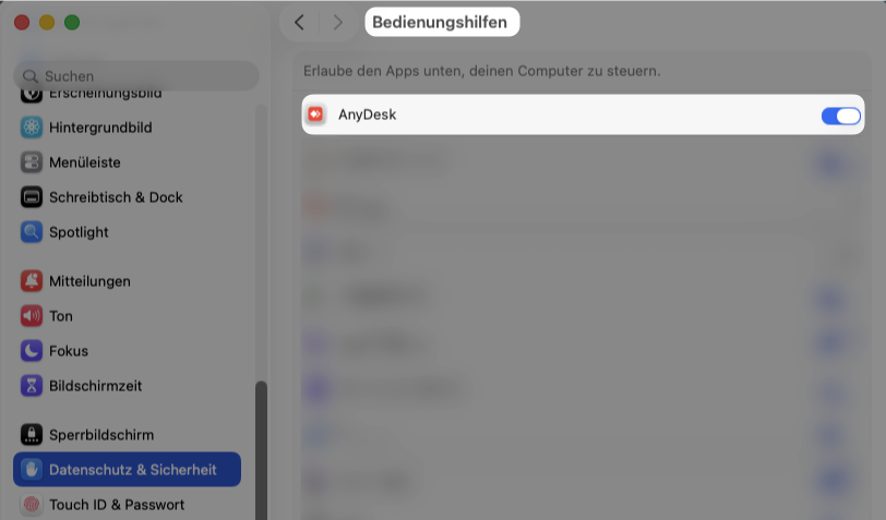 Bedienungshilfen → AnyDesk aktiv