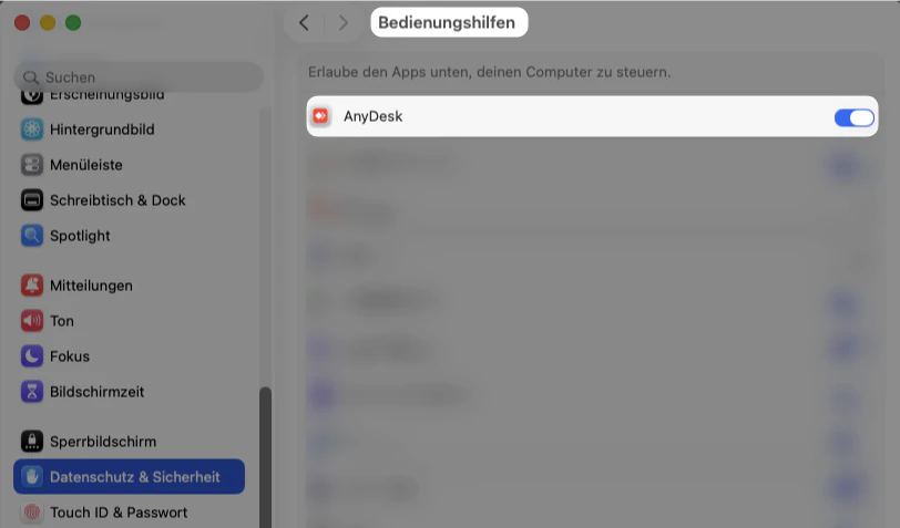 Bedienungshilfen → AnyDesk aktiv