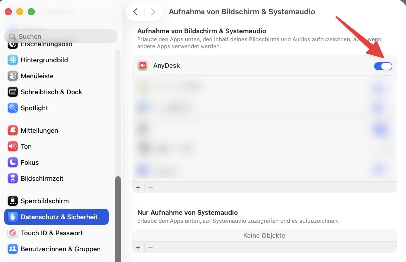 Bildschirmaufnahme → AnyDesk aktiv
