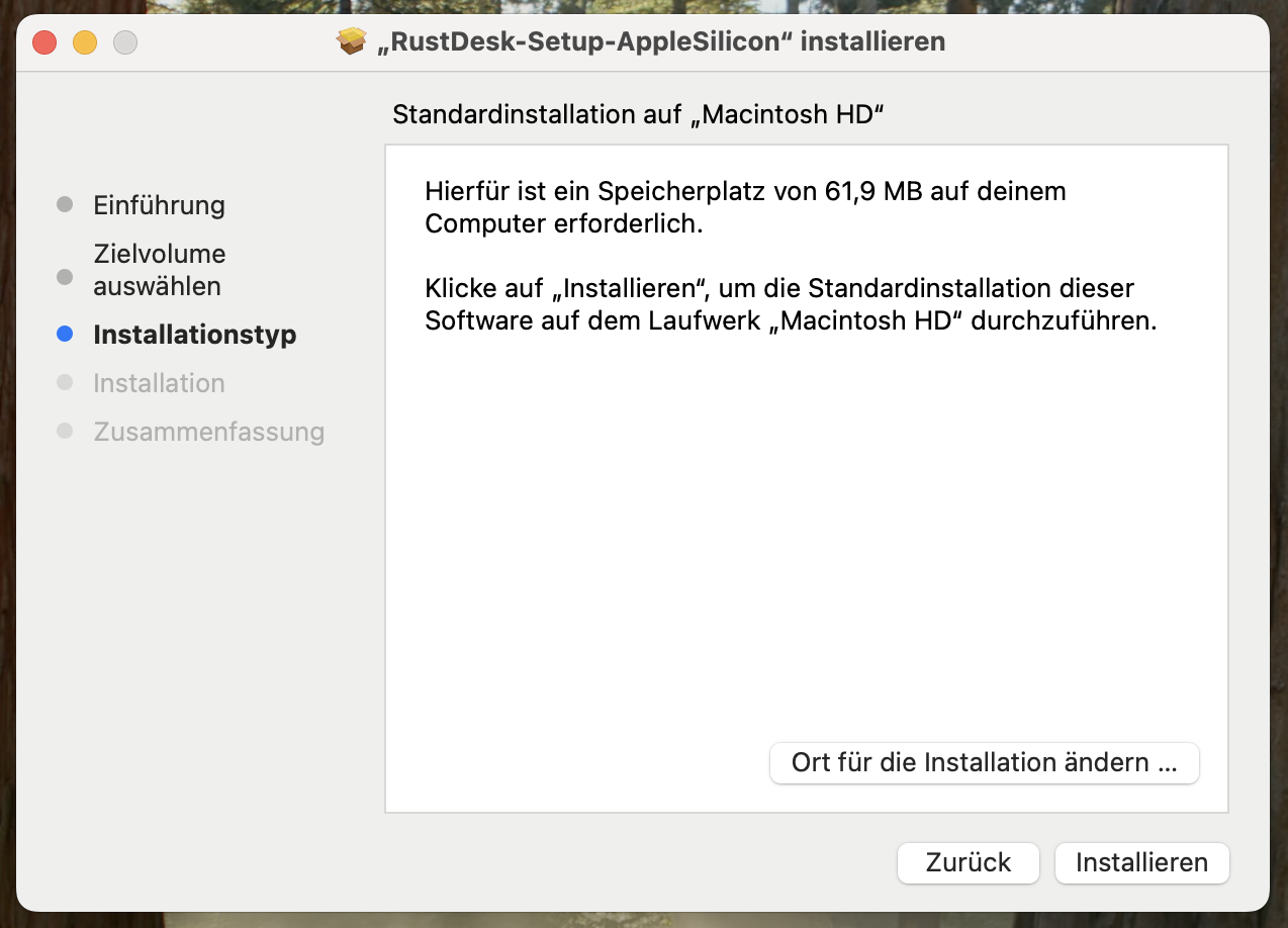 Installer-Fenster mit Installationsschritten