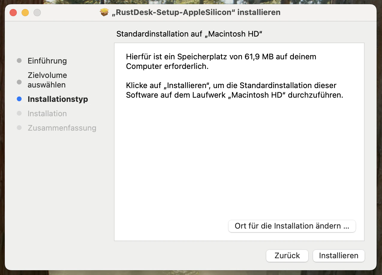 Installer-Fenster mit Installationsschritten