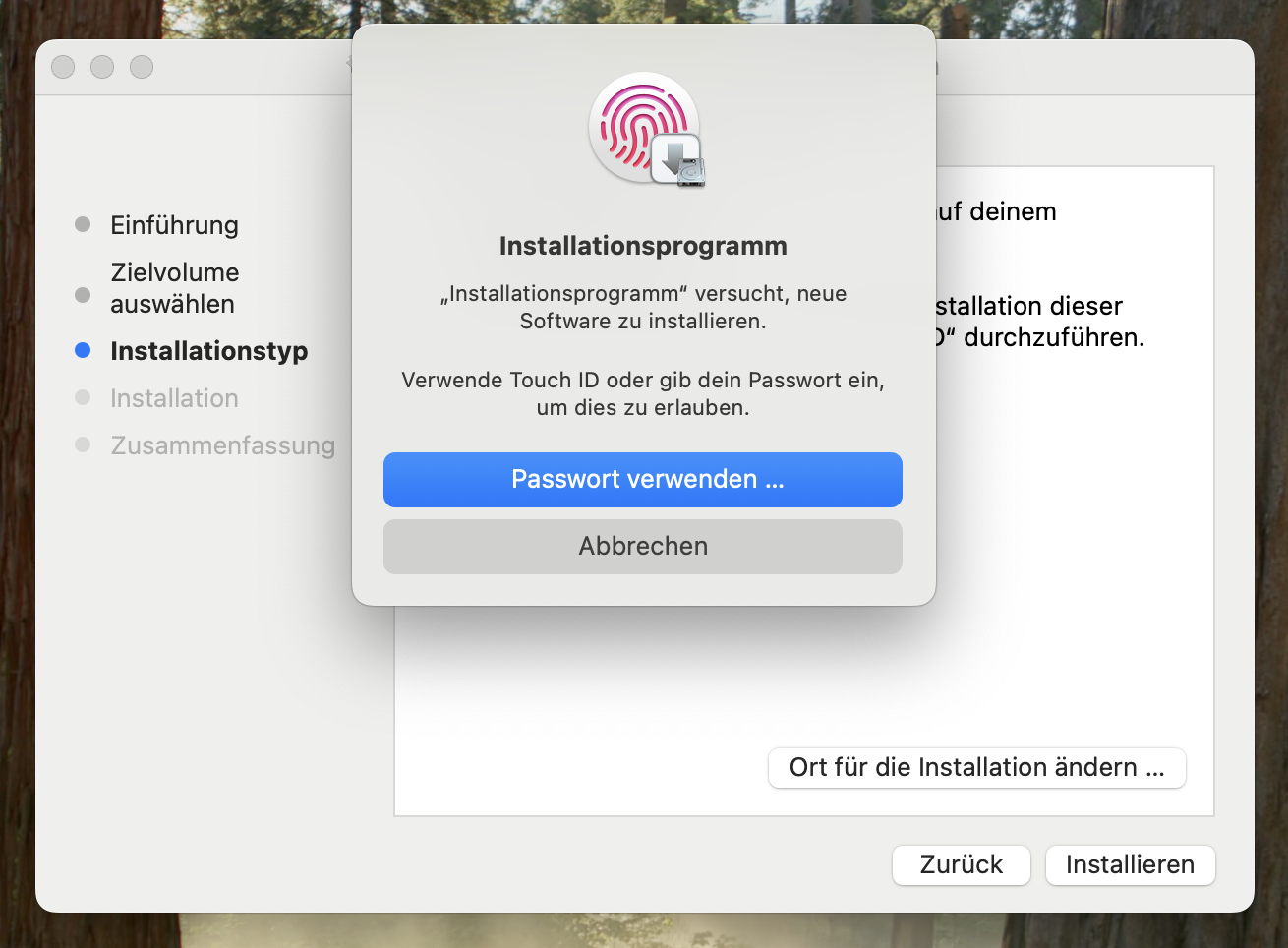 Passwort-Abfrage während der Installation