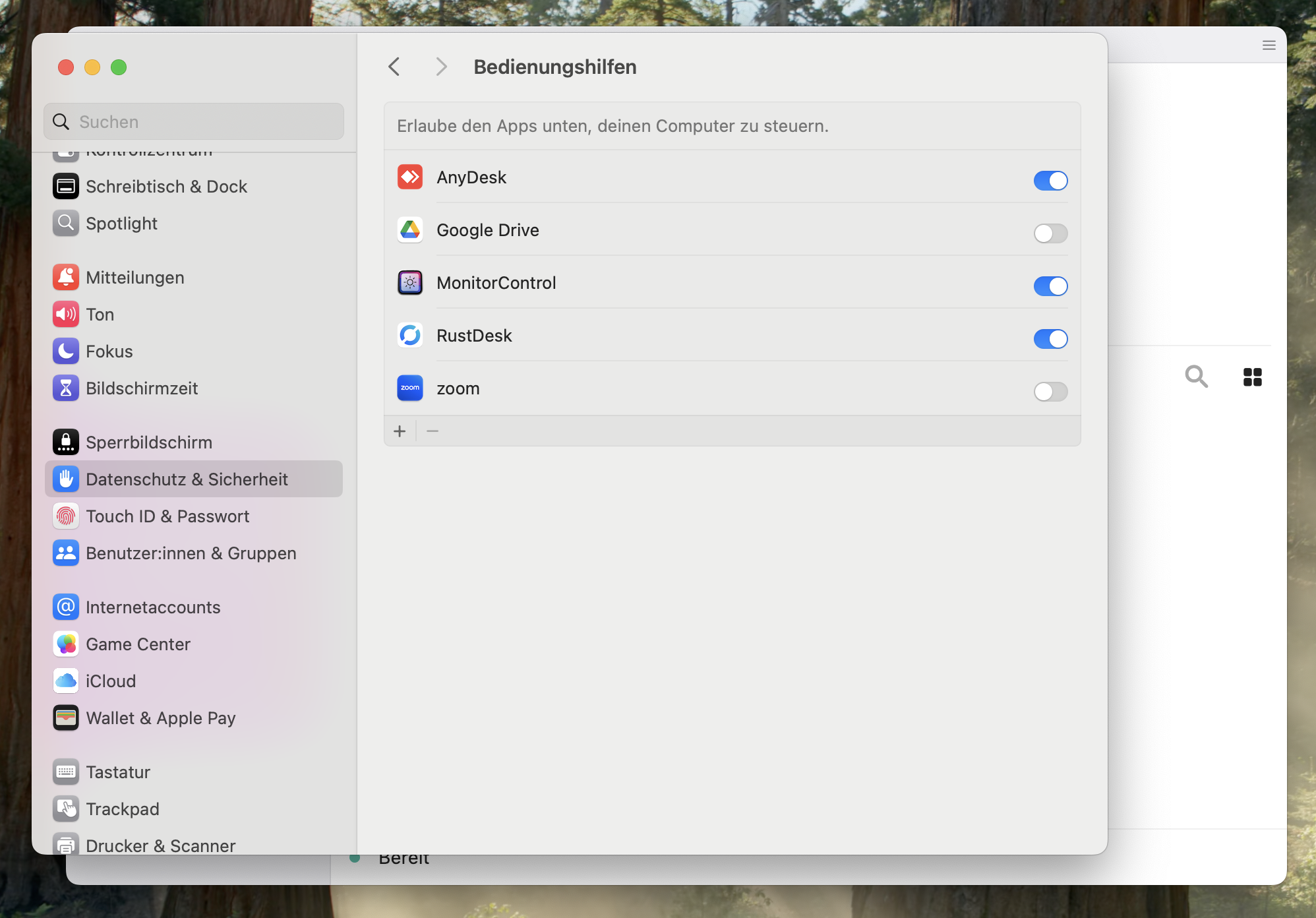 Systemeinstellungen → Bedienungshilfen → RustDesk aktiv