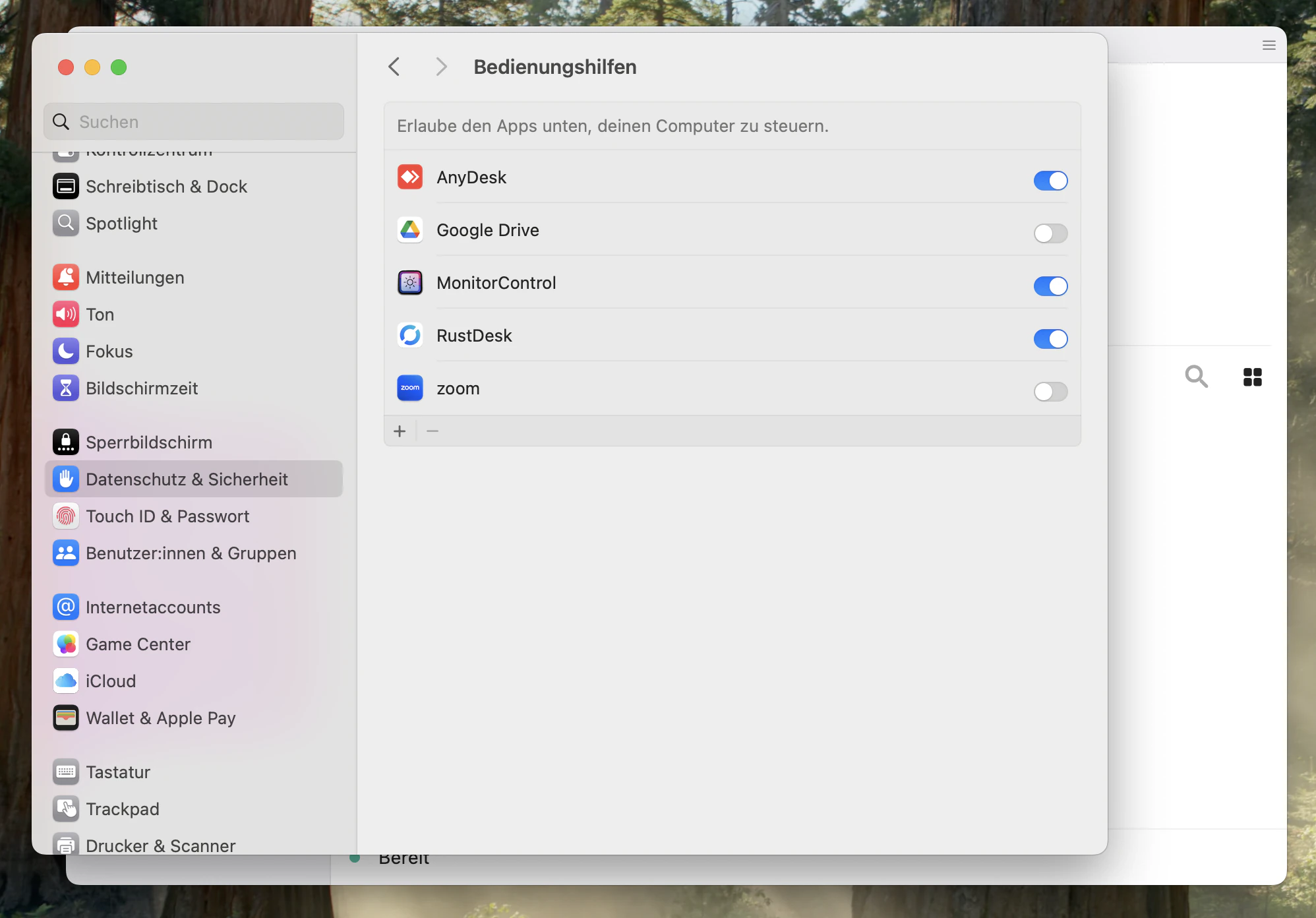 Systemeinstellungen → Bedienungshilfen → RustDesk aktiv